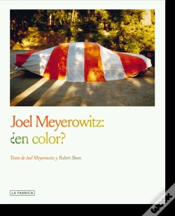 Capa do artigo Joel Meyerowitz En Color