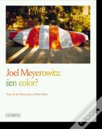 Joel Meyerowitz En Color