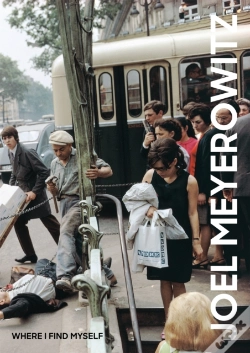 Capa do artigo Joel Meyerowitz: Where I Find Myself