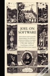 Capa do artigo Joel On Software