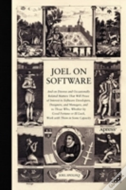 Capa do artigo Joel On Software