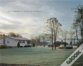 Joel Sternfeld American Prospects /Anglais