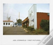 Capa do artigo Joel Sternfeld First Pictures /Anglais