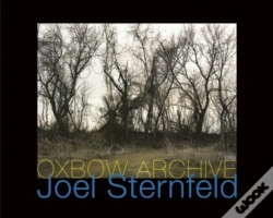 Capa do artigo Joel Sternfeld