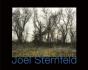 Joel Sternfeld - Preview