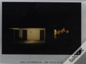 Capa do artigo Joel Sternfeld On This Site /Anglais