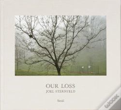 Capa do artigo Joel Sternfeld Our Loss /Anglais