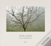 Capa do artigo Joel Sternfeld Our Loss /Anglais