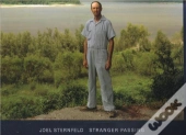 Joel Sternfeld Stranger Passing /Anglais