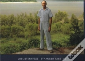 Capa do artigo Joel Sternfeld Stranger Passing /Anglais