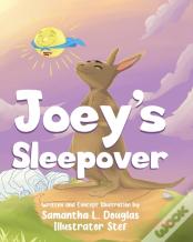 Joey'S Sleepover