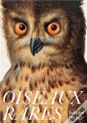 Capa do artigo Johann Walter Oiseaux Rares /Francais