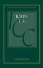 John 1-4 - Preview