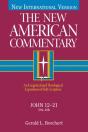 John 12-21 - Preview
