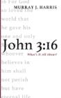John 3:16 - Preview