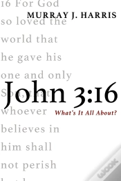 Capa do artigo John 3:16
