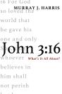 John 3:16 - Preview