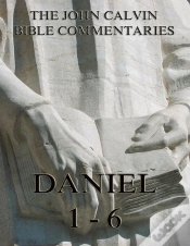 Capa do artigo John Calvin