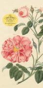 John Derian Paper Goods: Everything Roses Notepad - Preview