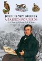 John Henry Gurney - Preview