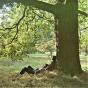 John Lennon / Plastic Ono Band - CD - Preview