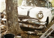 Capa do artigo John Salt