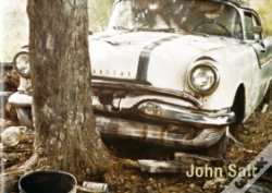 Capa do artigo John Salt