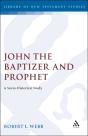 John The Baptizer And Prophet - Preview