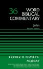 John, Volume 36 - Preview