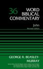 John, Volume 36 - Preview