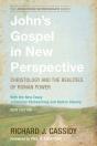 Johns Gospel In New Perspective - Preview