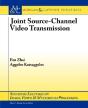 Joint Source-Channel Video Transmission - Preview