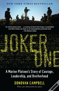 Capa do artigo Joker One
