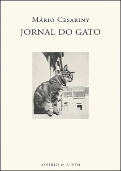 Capa do artigo Jornal do Gato