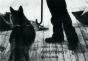Joseph Beuys Coyote /Allemand - Preview