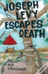 Joseph Levy Escapes Death