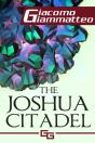Joshua Citadel - Preview