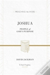 Capa do artigo Joshua