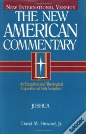 Capa do artigo Joshua