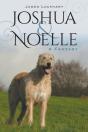 Joshua & Noelle - Preview