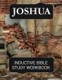 Joshua Inductive Bible Study Workbook - Preview