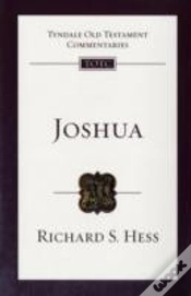 Capa do artigo Joshua
