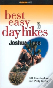 Capa do artigo Joshua Tree