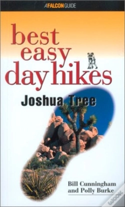 Capa do artigo Joshua Tree