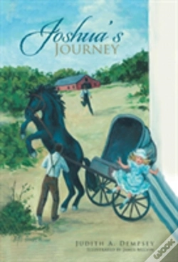 Capa do artigo Joshua'S Journey