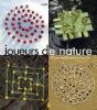 Joueurs De Nature ; 45 Jeux Traditionnels En Landart - Preview