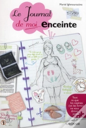 Journal D'Une Femme Enceinte