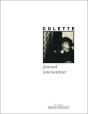 Journal Intermittent - Preview