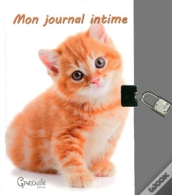 Capa do artigo Journal Intime Chats