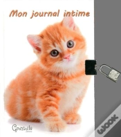 Capa do artigo Journal Intime Chats